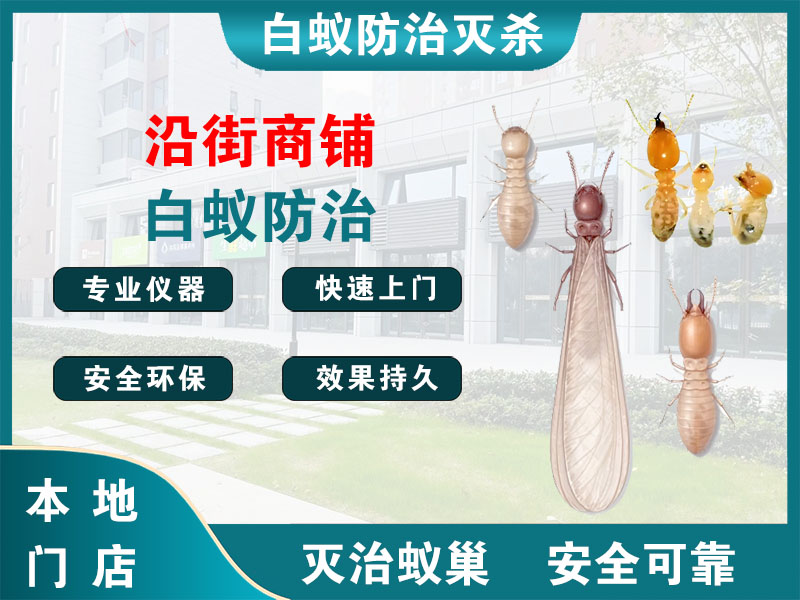 六合沿街商铺白蚁防治