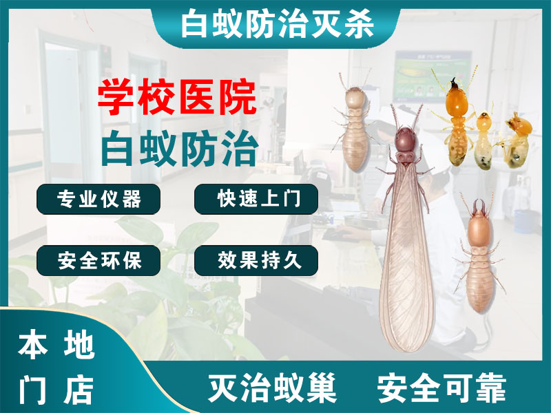 六合学校医院白蚁防治