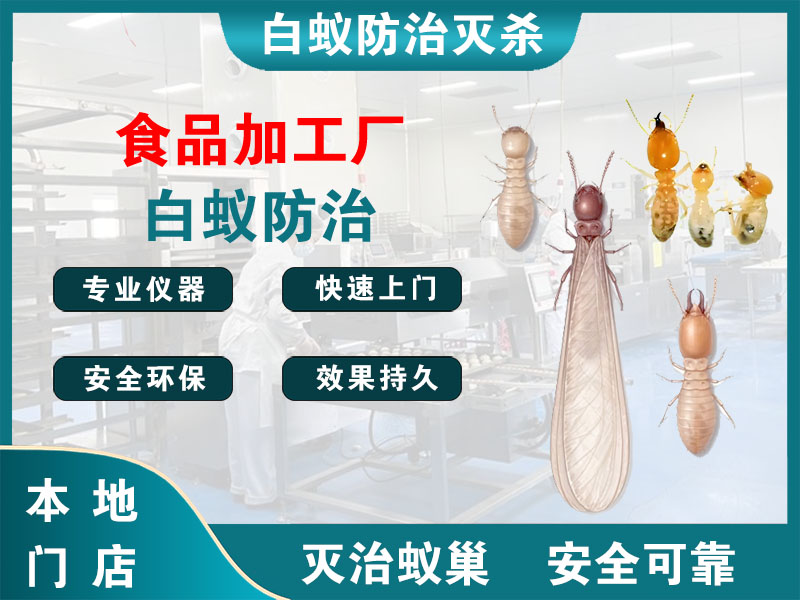 六合食品加工厂白蚁防治