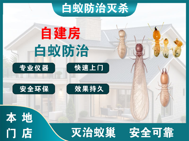 六合自建房白蚁防治
