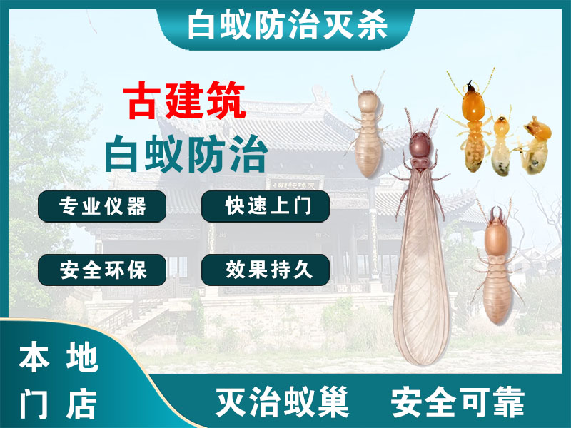 六合古建筑白蚁防治