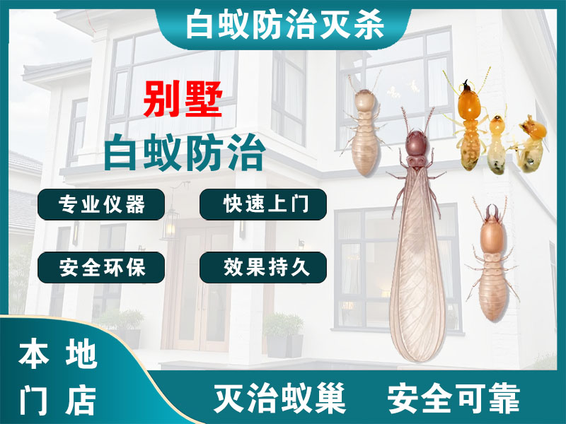 六合别墅白蚁防治