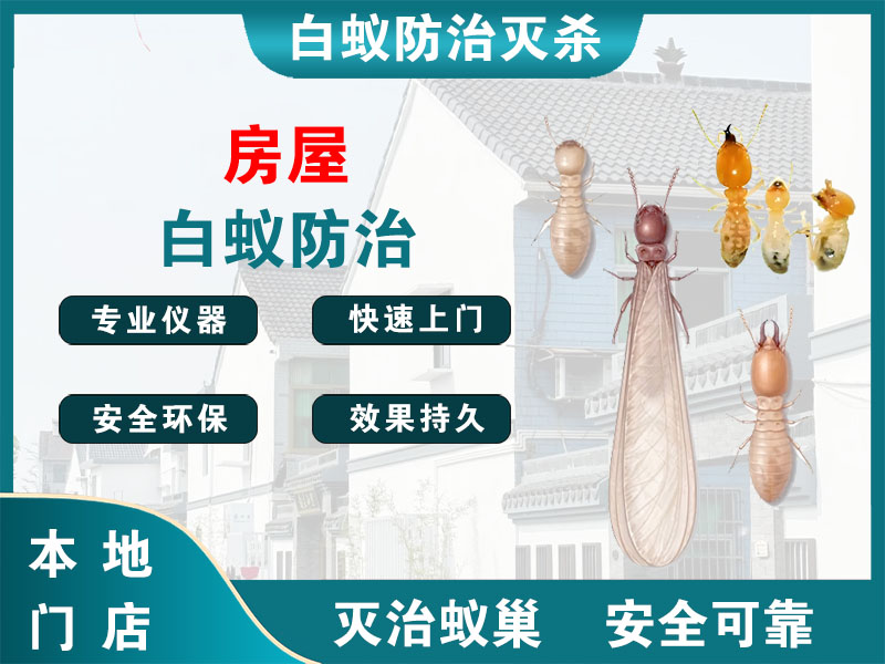 六合房屋白蚁防治